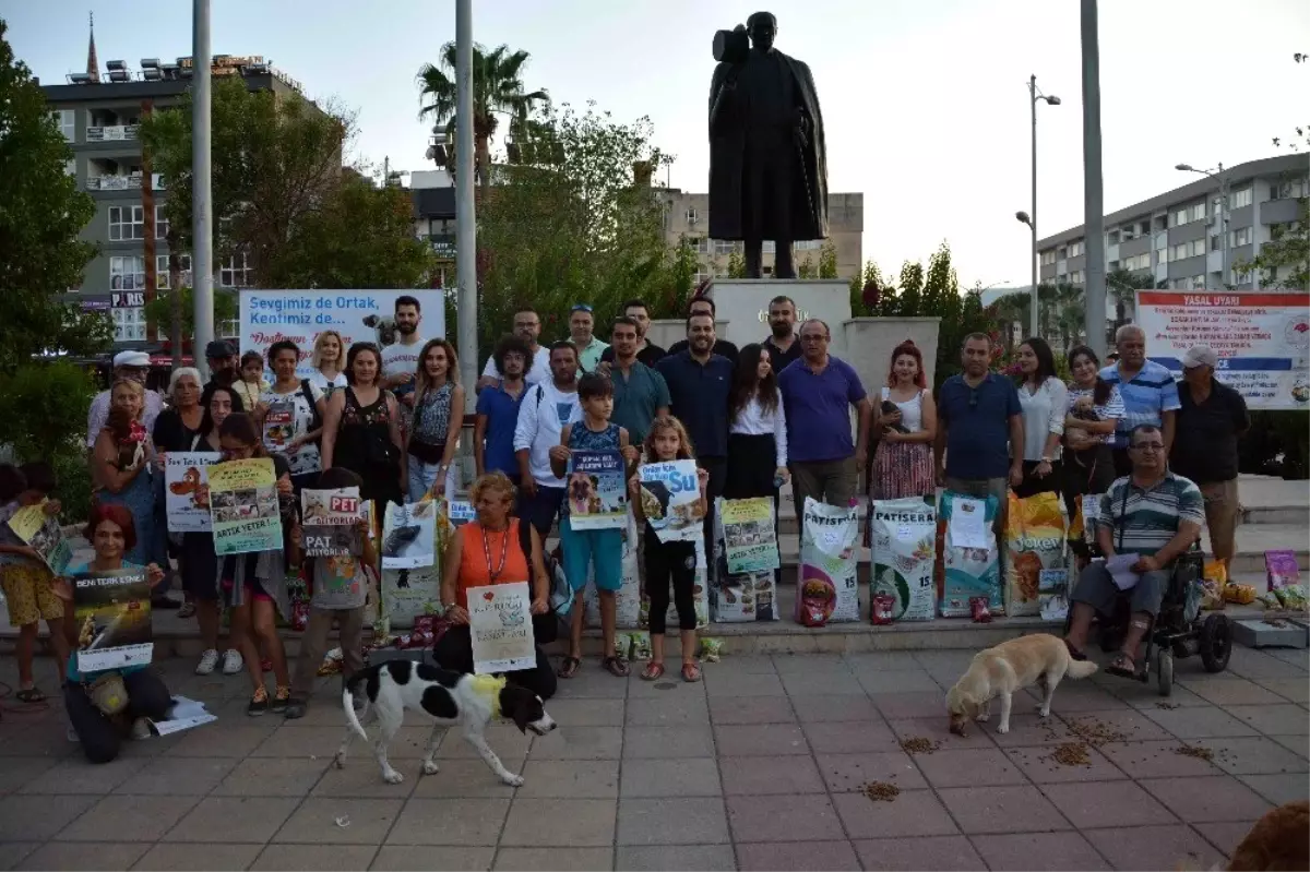 Sessiz dostlar için anlamlı proje