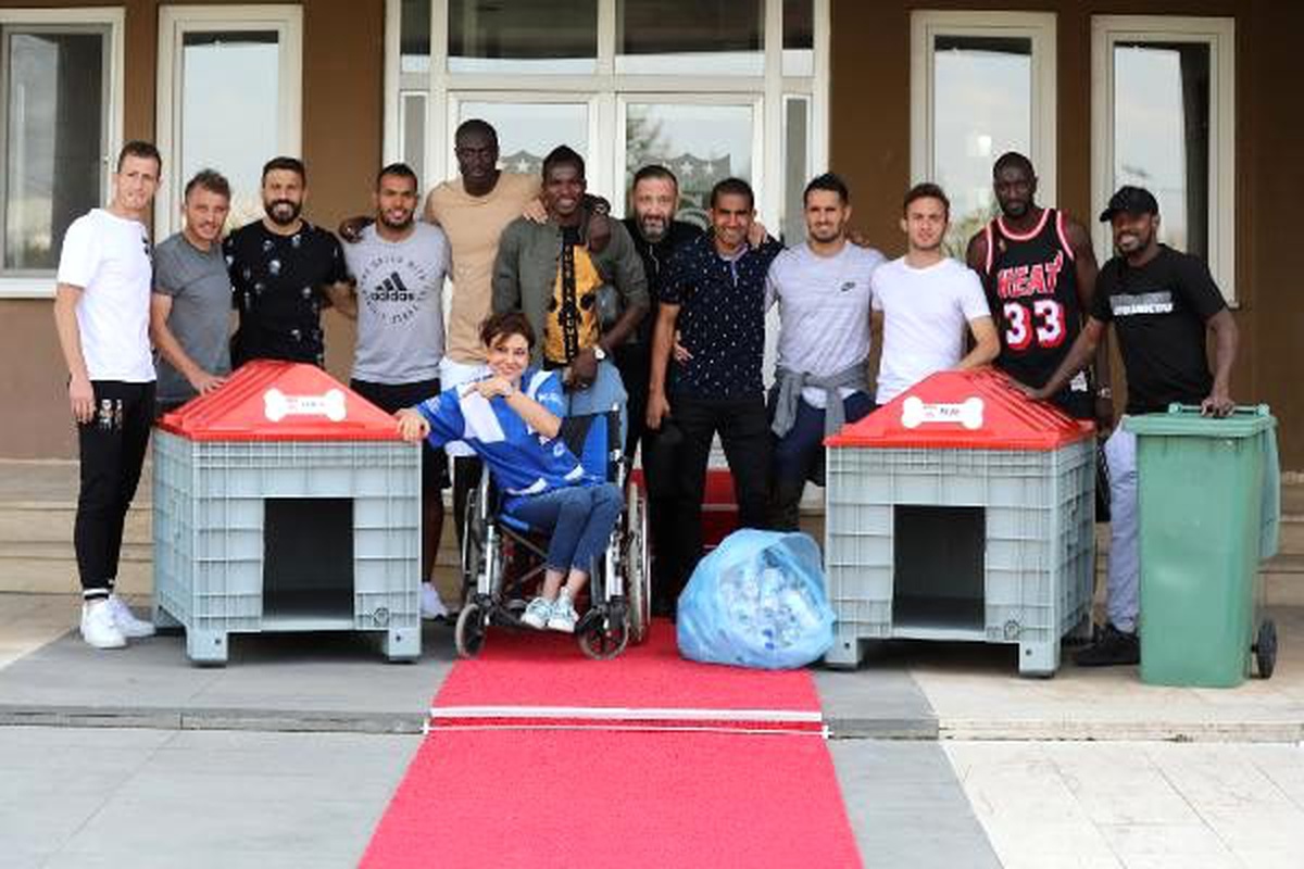 Sivasspor\'dan sokak hayvanları projesine destek