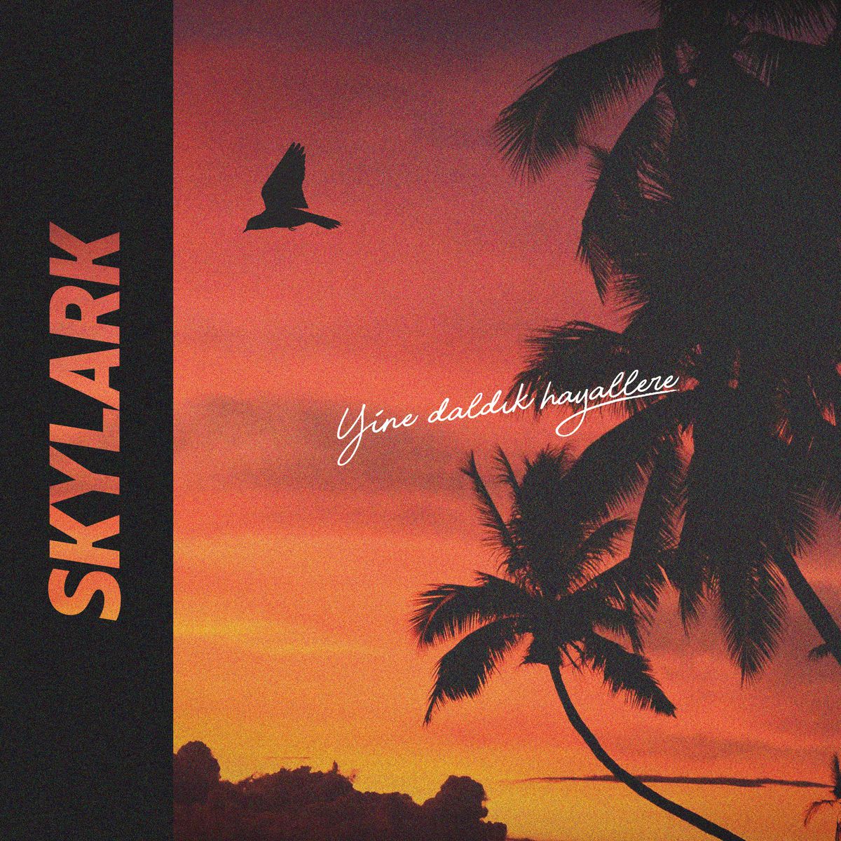 Skylark\'ın Hayali Gerçek Oluyor!