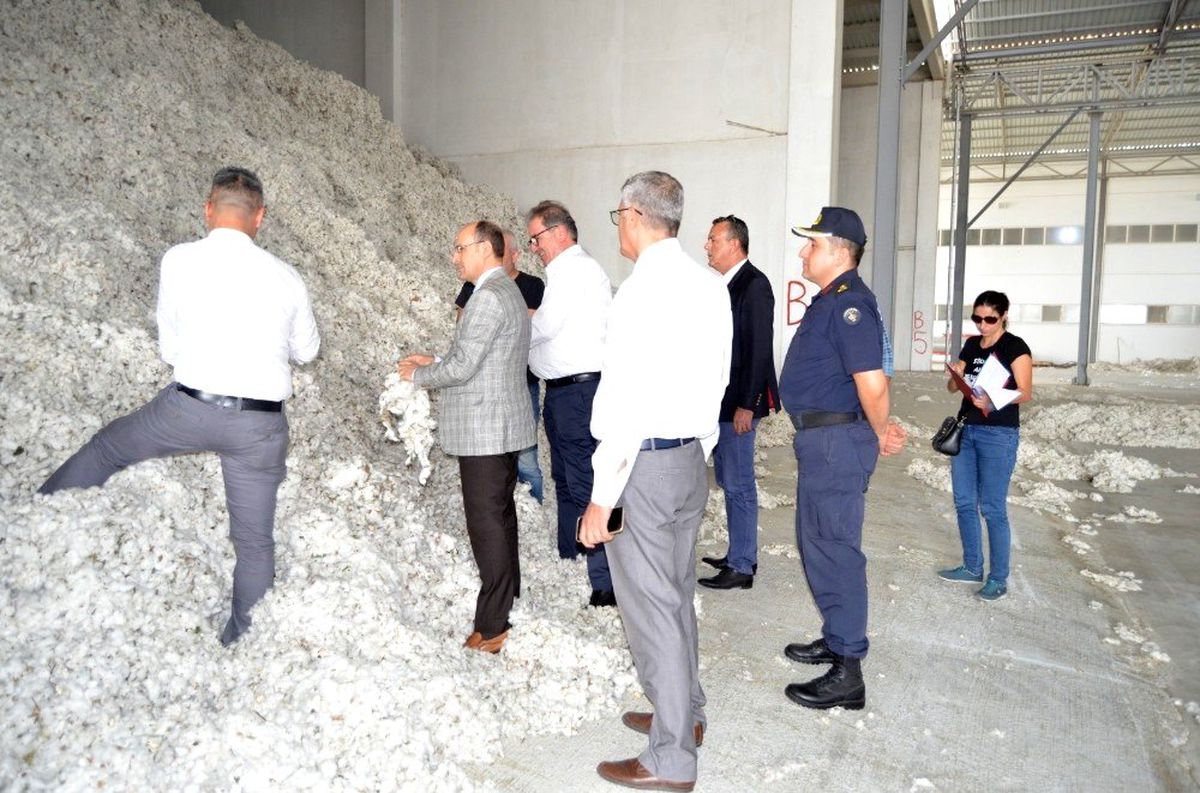 Söke\'de pamuğa kalite denetimi