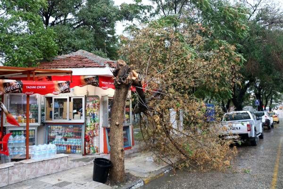 Trakya\'da beklenen yağış başladı (2)