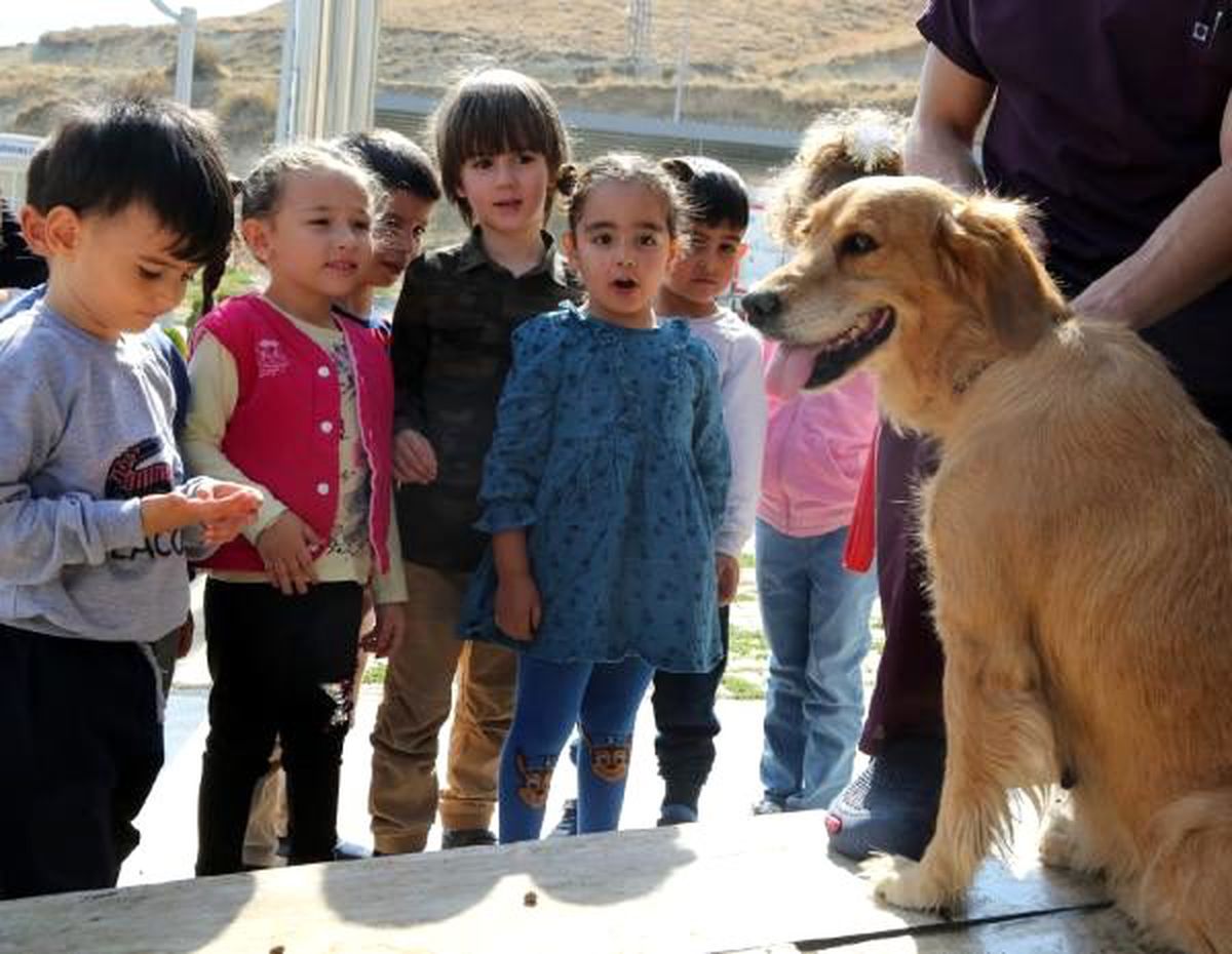 Vanlı miniklerden sevimli dostlara ziyaret