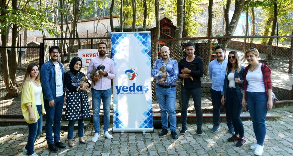 YEDAŞ çalışanları \'barınak\'ta
