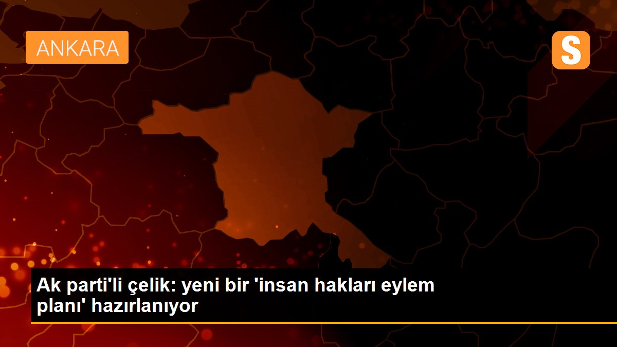 Ak parti\'li çelik: yeni bir \'insan hakları eylem planı\' hazırlanıyor