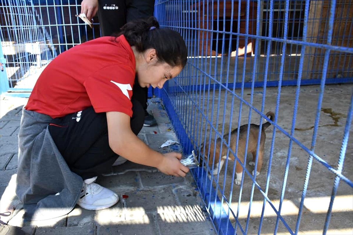 Başkan Sarı, öğrencilerle hayvan barınağını gezdi