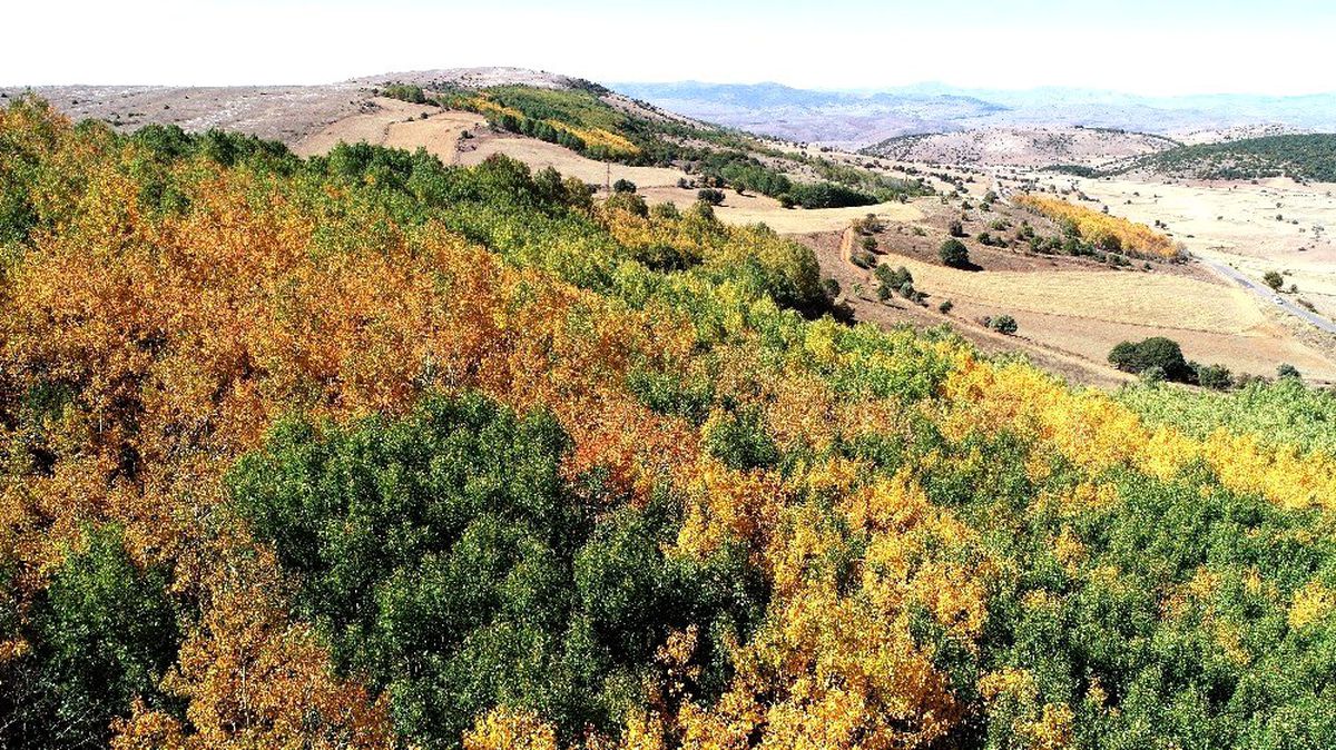 Bozkır\'da Hazan