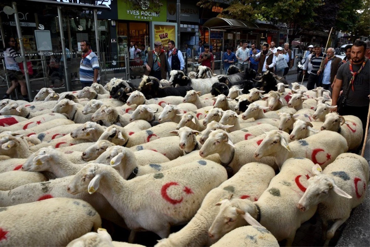 Çoban festivali renkli görüntüler ile başladı