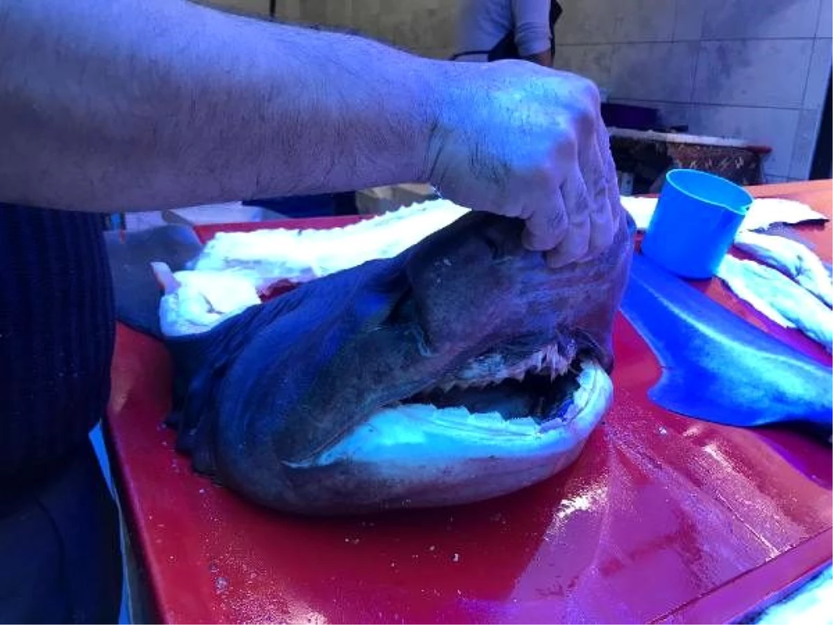 İznik\'te tezgahtaki 2 metrelik köpek balığı ilgi gördü