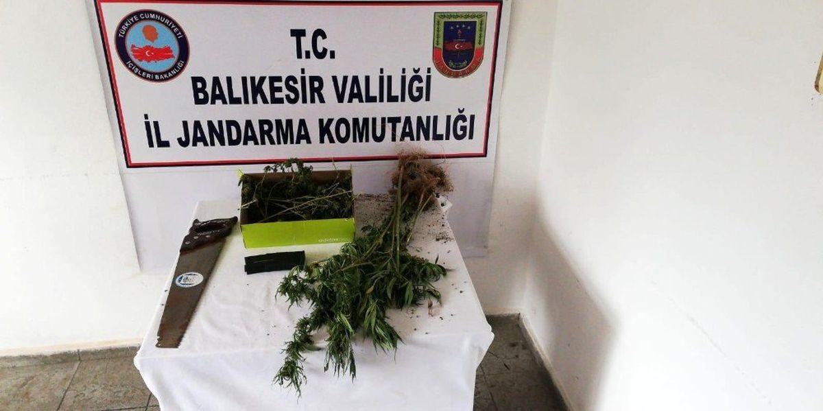 Jandarmadan uyuşturucu operasyonu