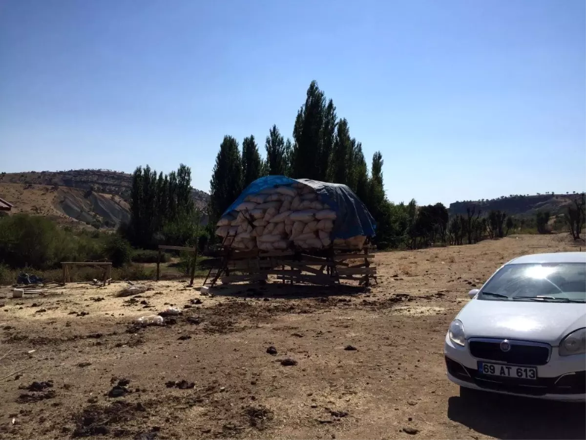 Kulp ilçesinde çıkan yangında, 10 ton saman kül oldu