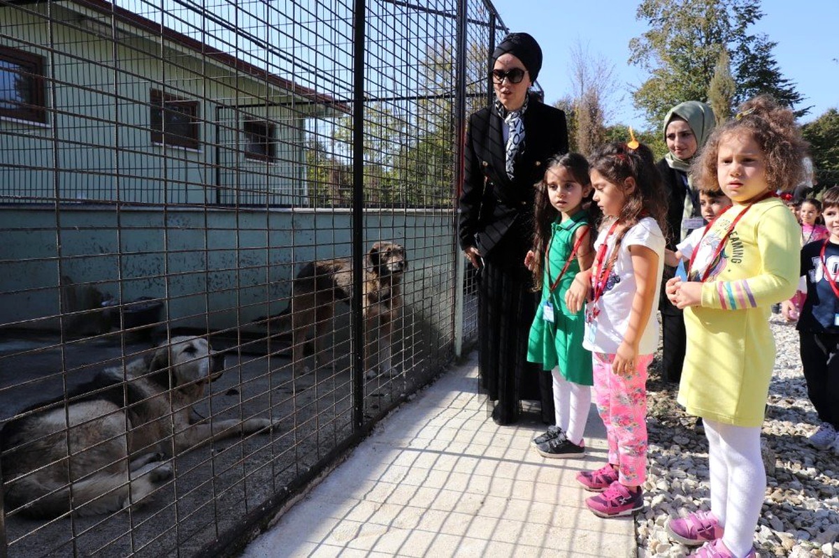 Minik öğrencilerden sokak hayvanlarına mama