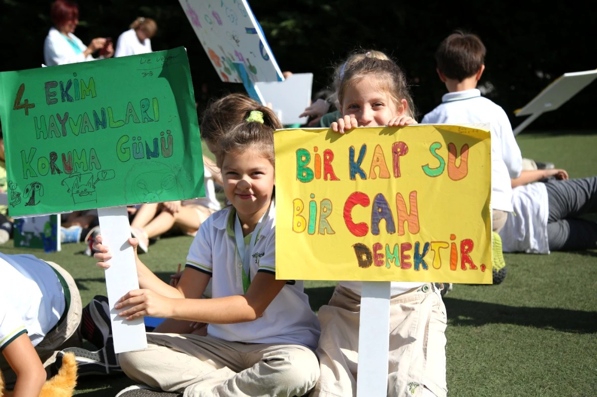 Öğrencilerden hayvan dostları için anlamlı proje