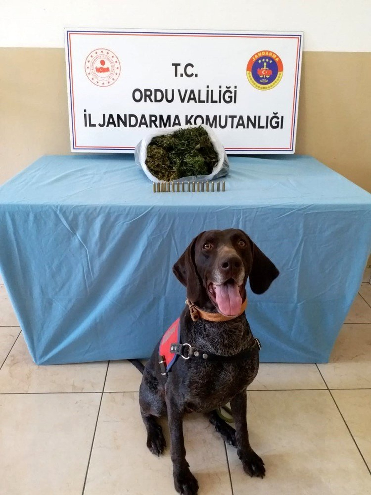 Ordu\'da uyuşturucudan 5 kişi tutuklandı