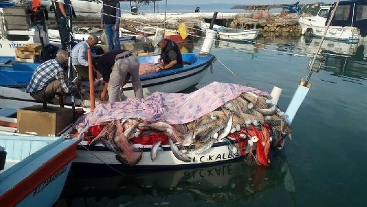 Saros körfezi\'nde 1,5 ton kefal yakaladı