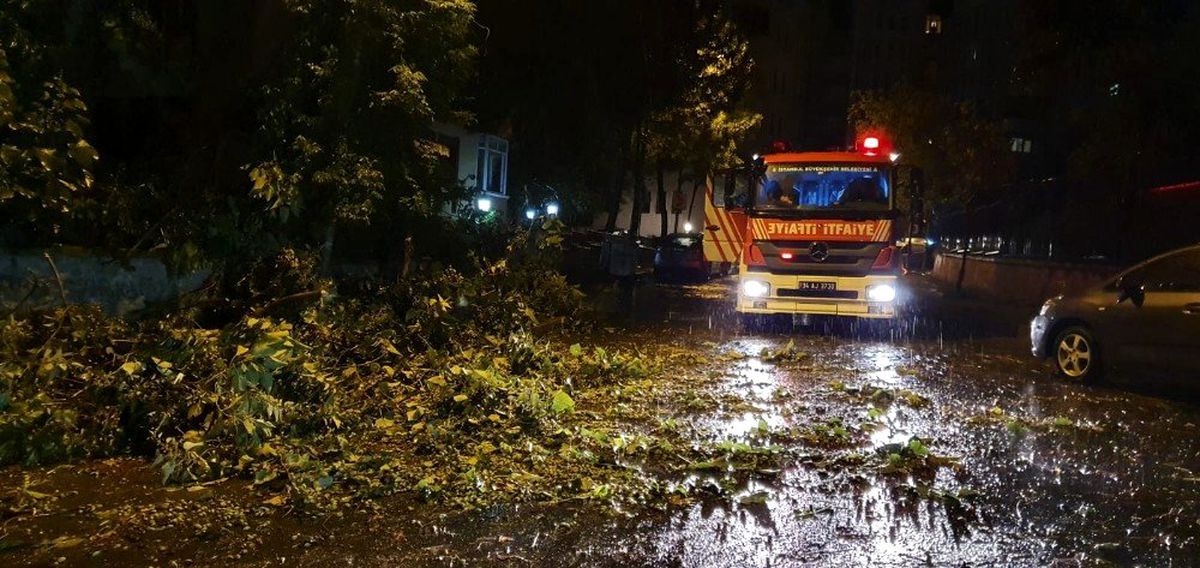 Şiddetli rüzgar ağacı yerinden söktü