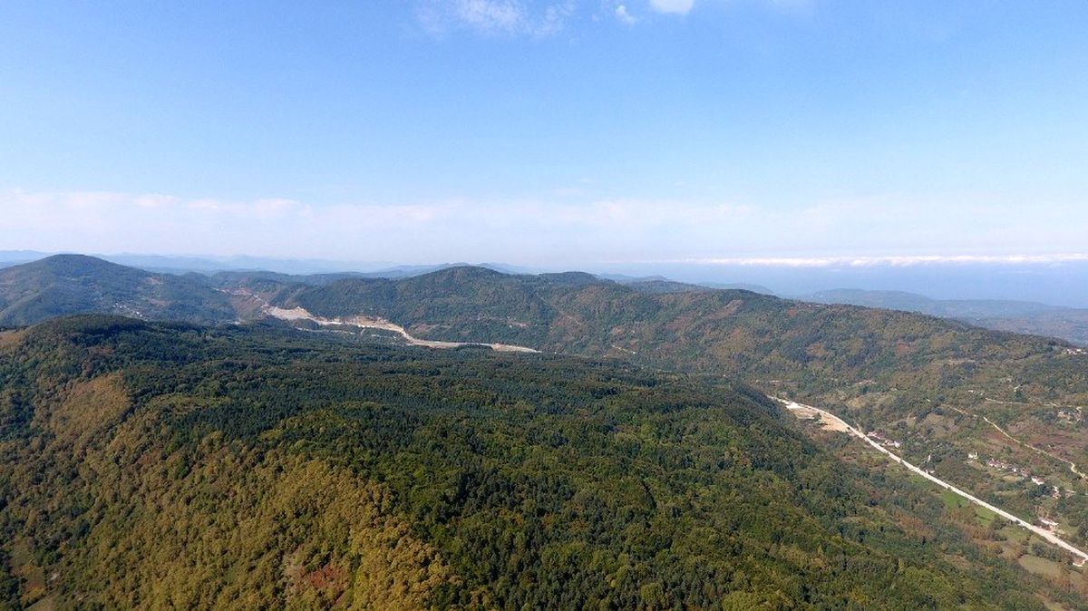 Sinop\'ta kestane hasadı zamanı