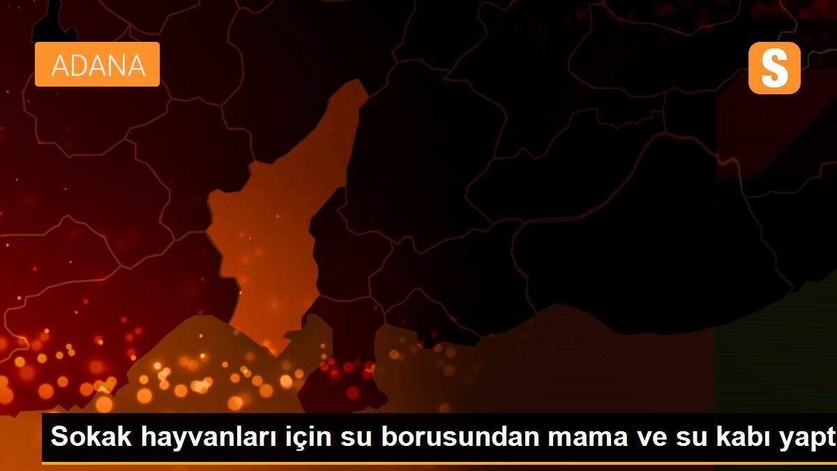 Sokak hayvanları için su borusundan mama ve su kabı yaptı