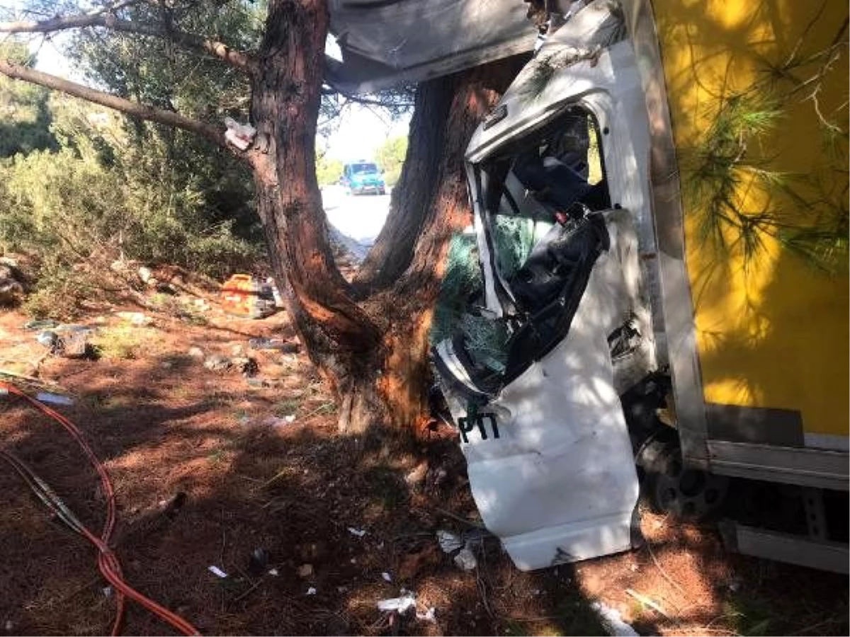 Ağaca çarpan kamyonette sıkışan sürücü ağır yaralı