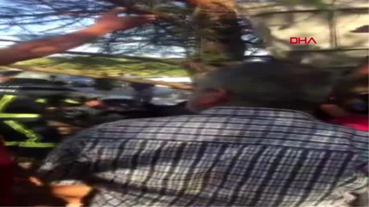 Antalya ağaca çarpan kamyonette sıkışan şoför ağır yaralandı