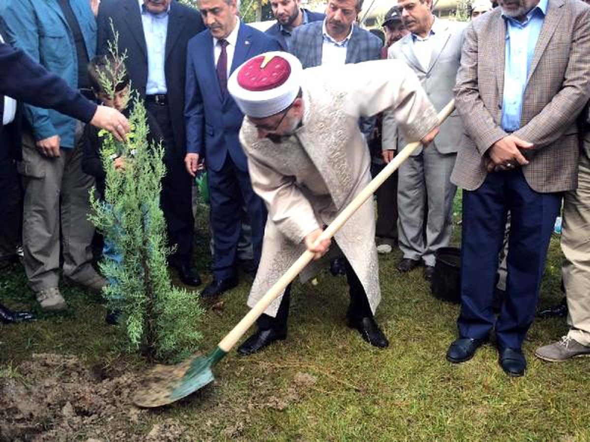 Diyanet işleri başkanı erbaş, fidan dikti
