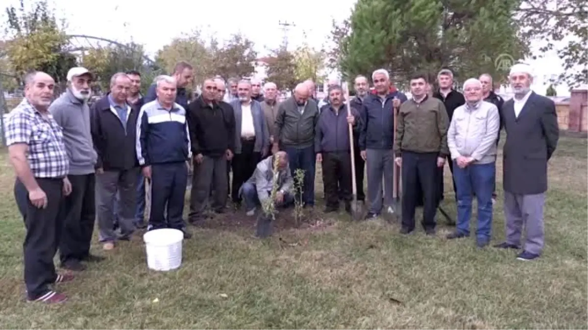 Diyanetten fidan dikme etkinliği