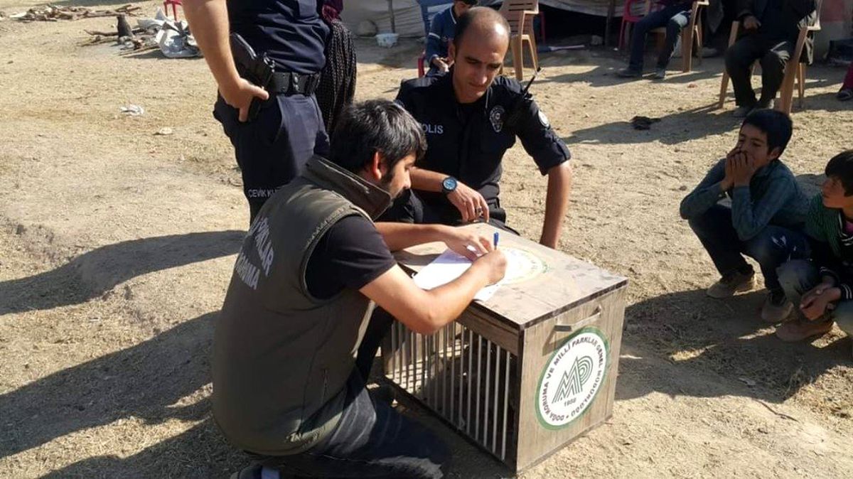 Kafes avcılarına 11 bin 260 TL ceza