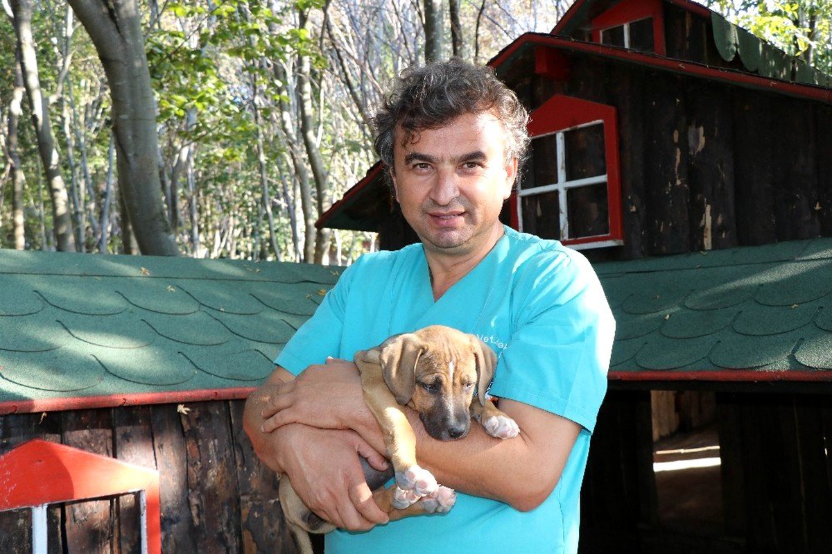 Barınaktan köpek sahiplenenlere uyarı