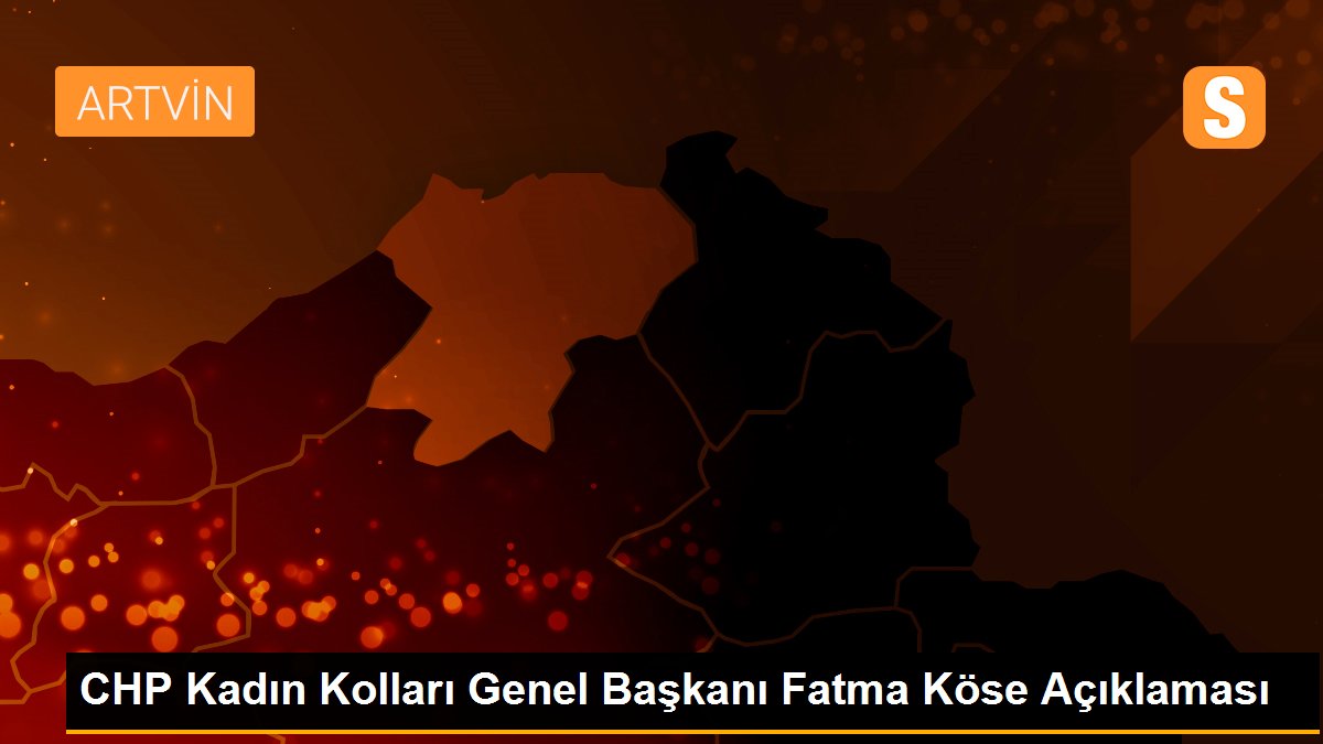 CHP Kadın Kolları Genel Başkanı Fatma Köse Açıklaması
