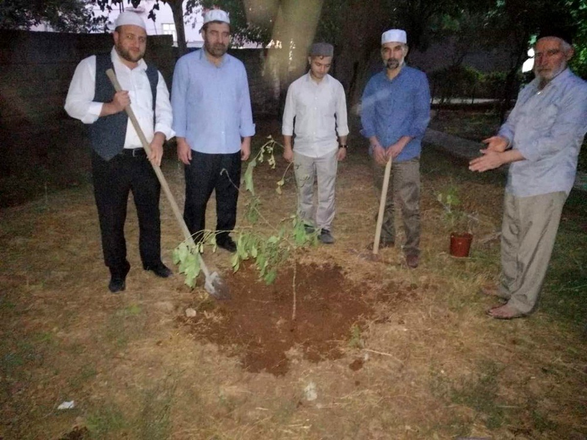 Çınar Müftülüğü\'nden fidan dikme etkinliği