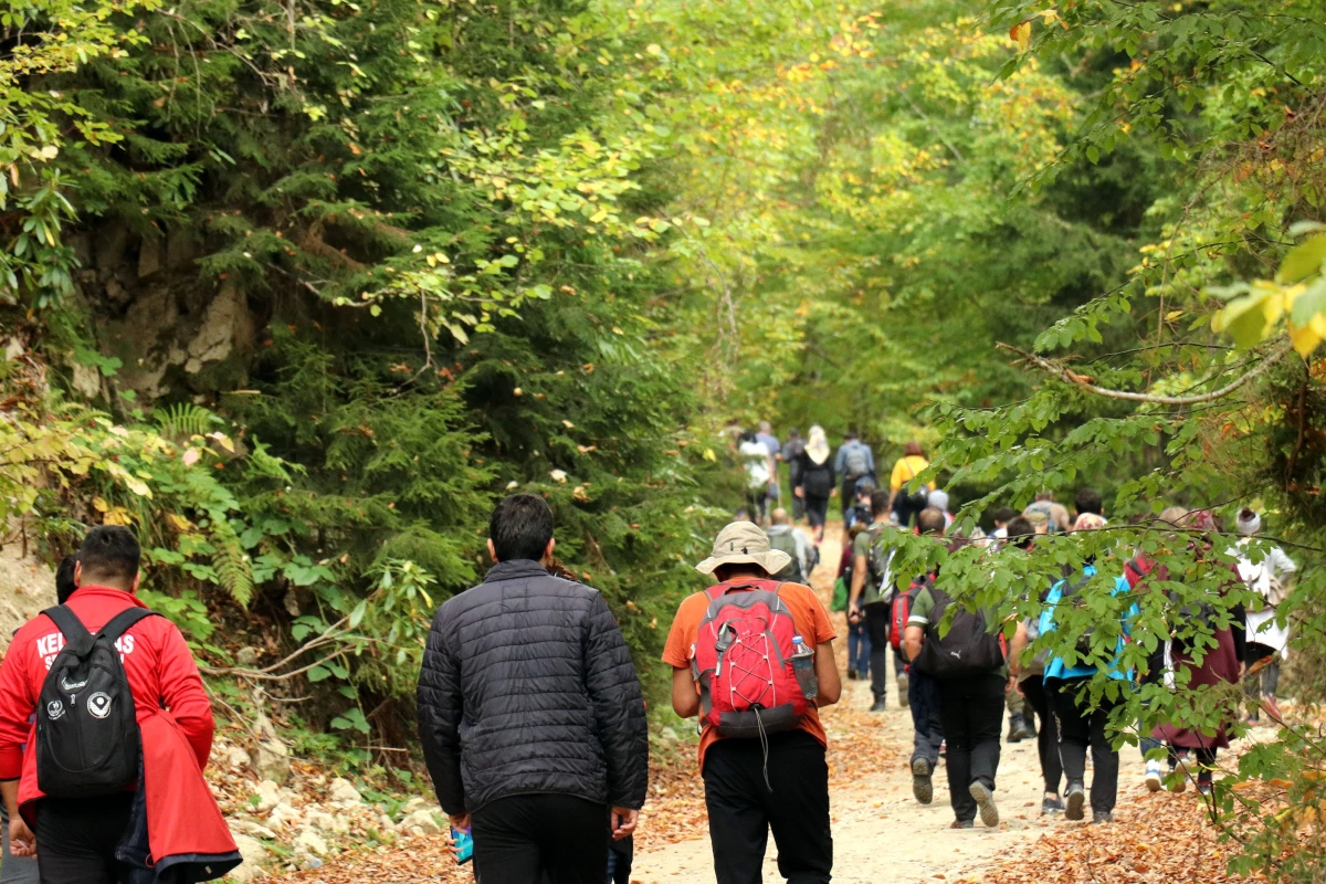 Dağcılar, Örümcek Ormanları\'nda 98 kişiyle doğa yürüyüşü yaptı