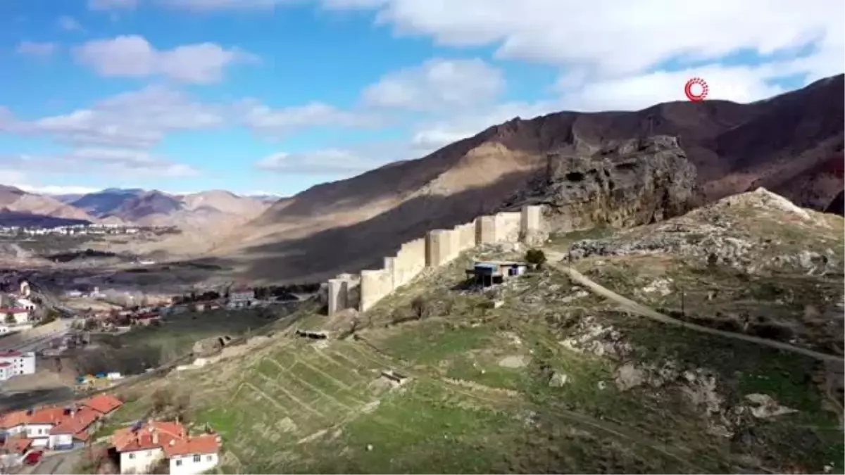 Divriği kalesinin girişindeki mağaranın içerisinden yükselen ağaç dikkat çekiyor