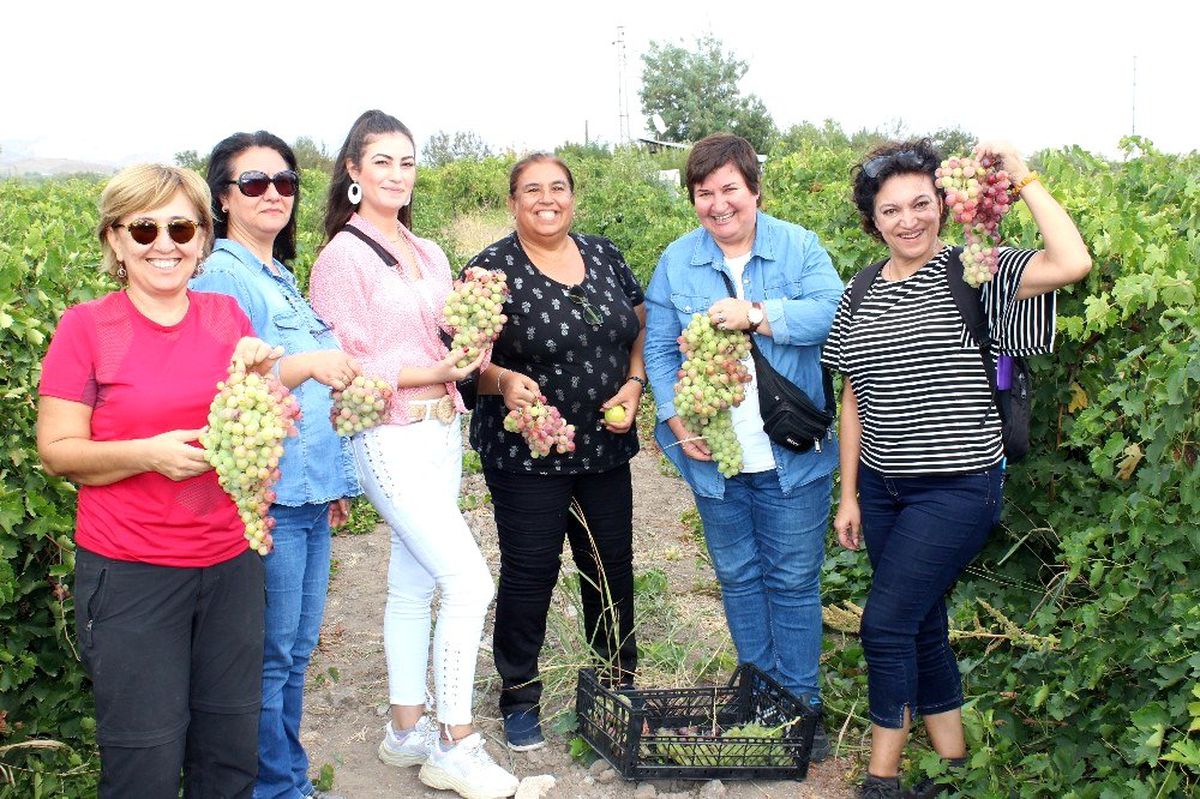 Elazığ\'da bağ bozumu turizmi