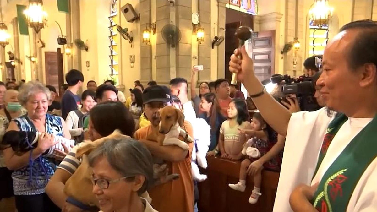 Filipinler\'de 4 Ekim Dünya Hayvanlar Günü\'nde evcil hayvanlar kilisede kutsandı