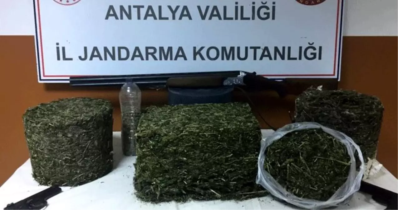 Jandarma aradığı uyuşturucuyu arı kovanının içinde buldu