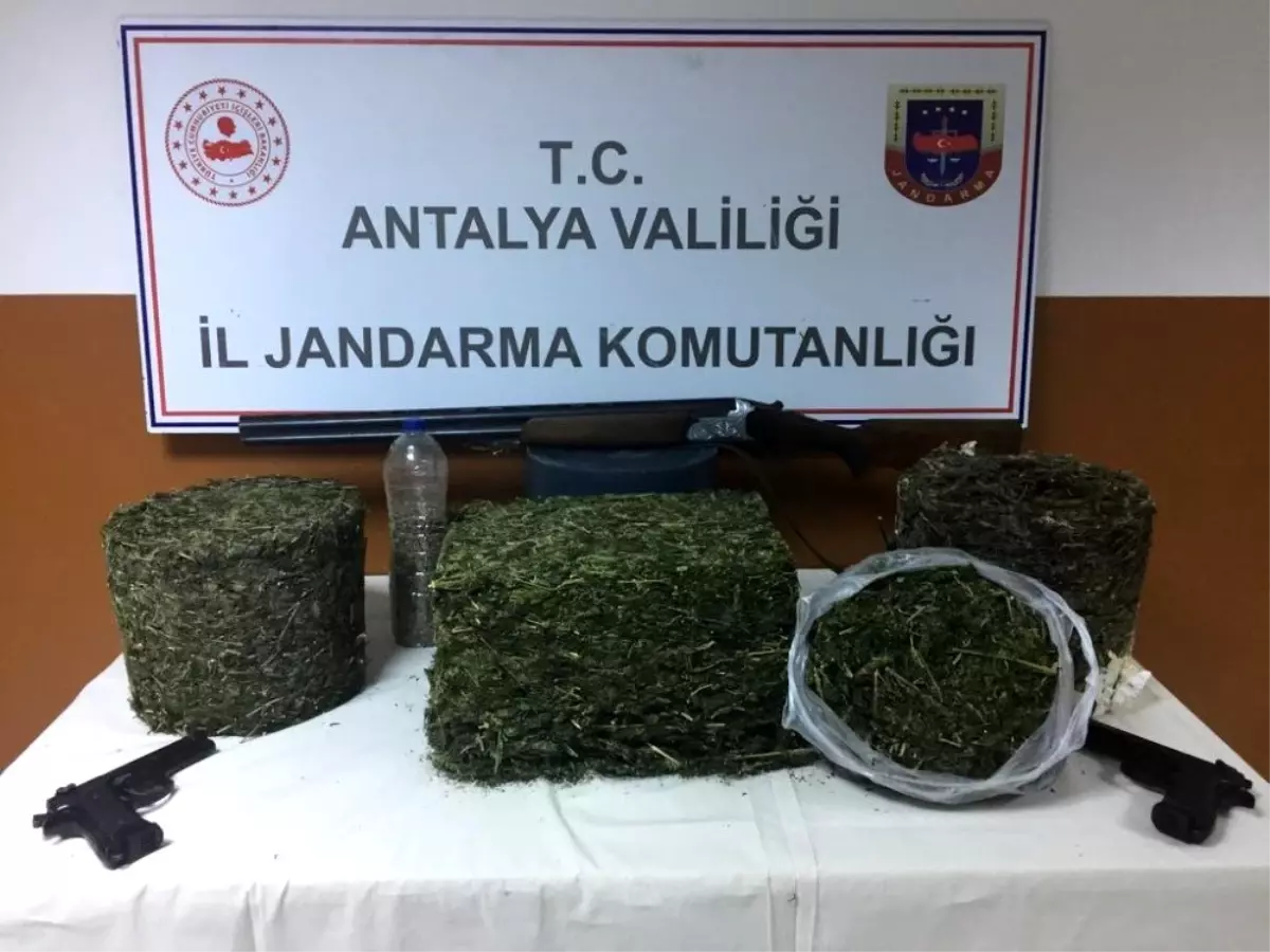 Jandarma aradığı uyuşturucuyu arı kovanının içinde buldu