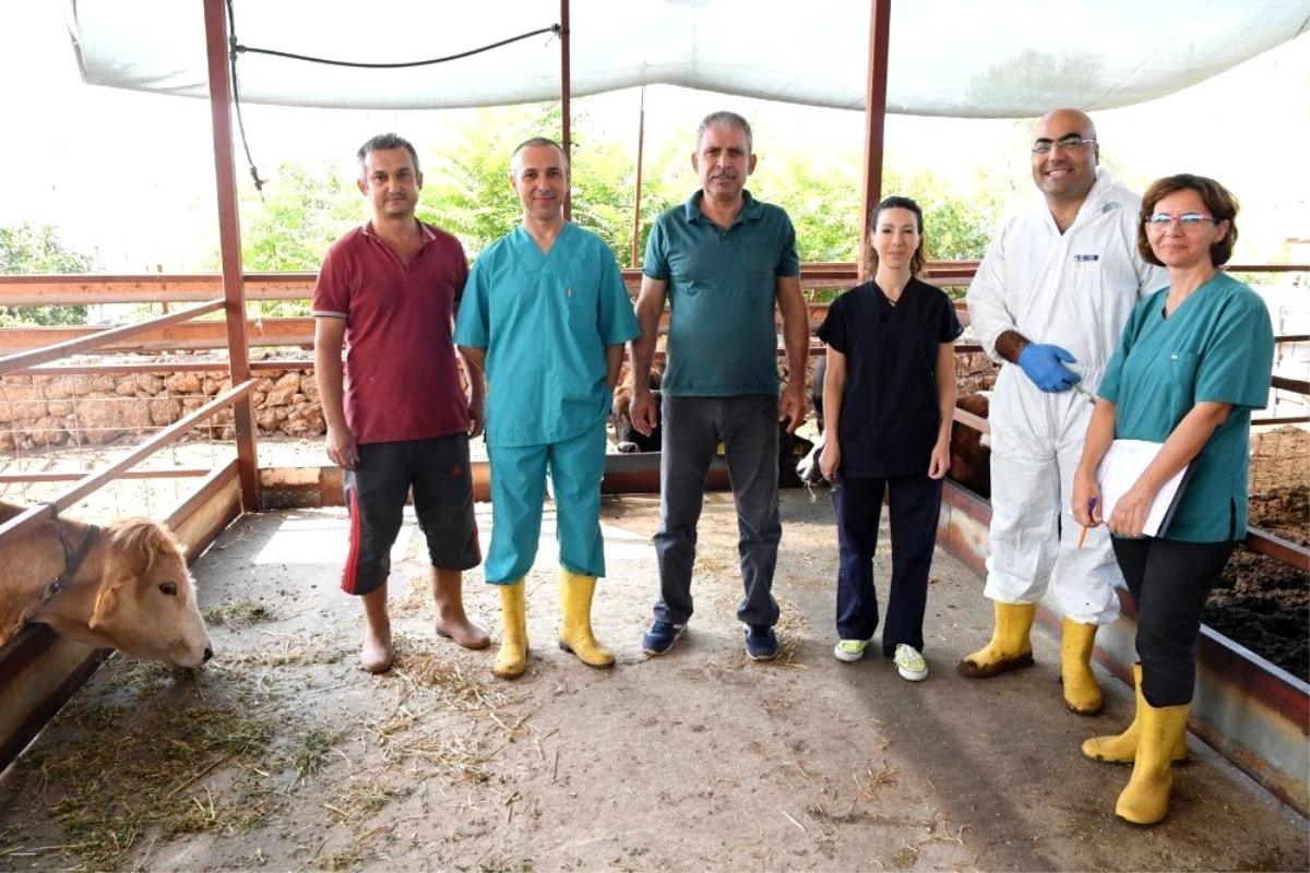 Konyaaltı Belediyesinden çiftçiye ücretsiz aşı