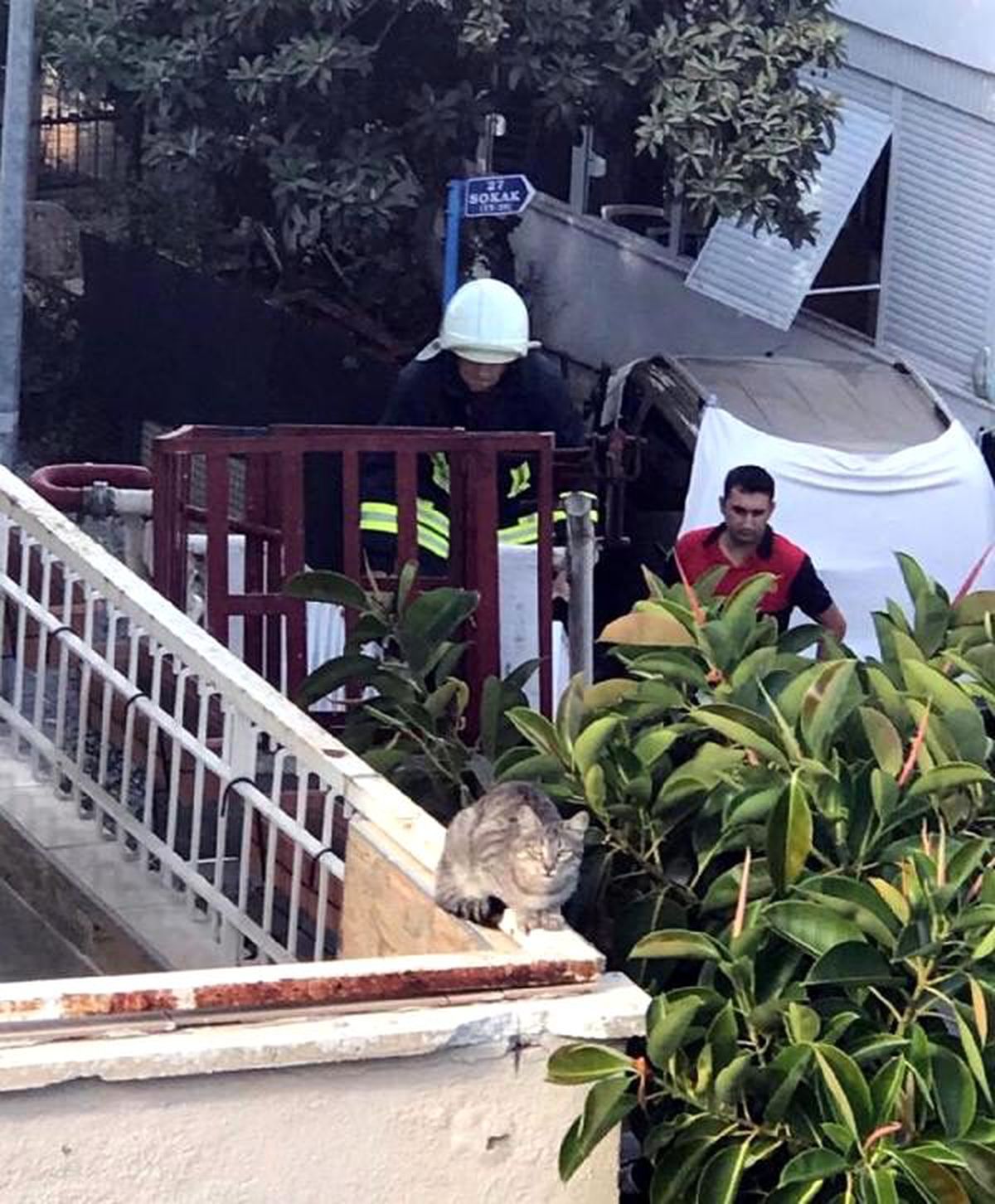 Mahsur kalan \'hıçkırık\' isimli kedi mahalleliyi seferber etti