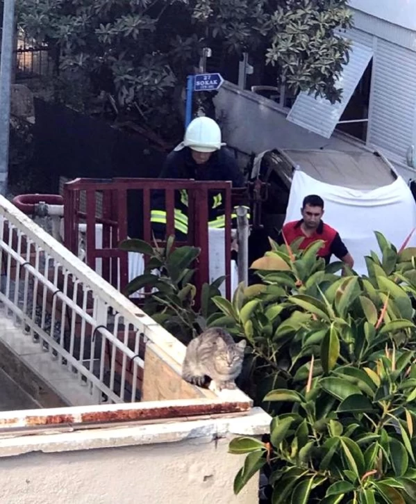 Mahsur kalan ’hıçkırık’ isimli kedi mahalleliyi seferber etti Son Dakika