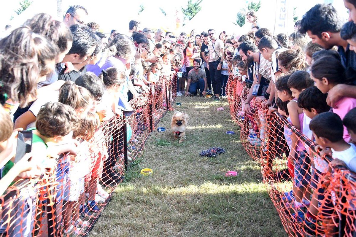 PatiFest, renkli görüntülerle sona erdi