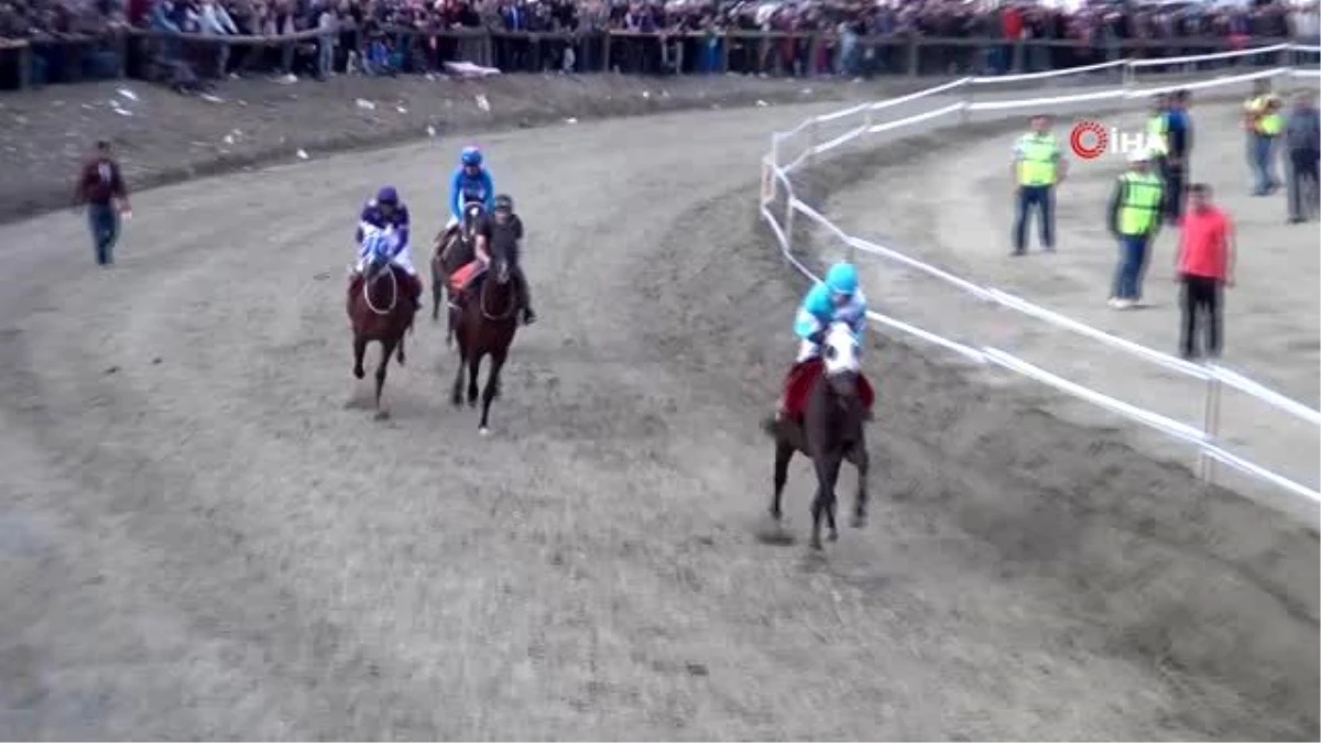 Pırlanta Pirinç Festivali\'nde at yarışları nefesleri kesti