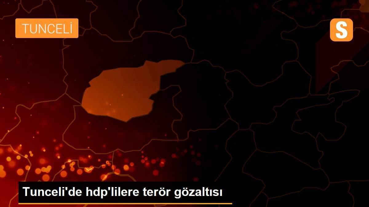 Tunceli\'de hdp\'lilere terör gözaltısı