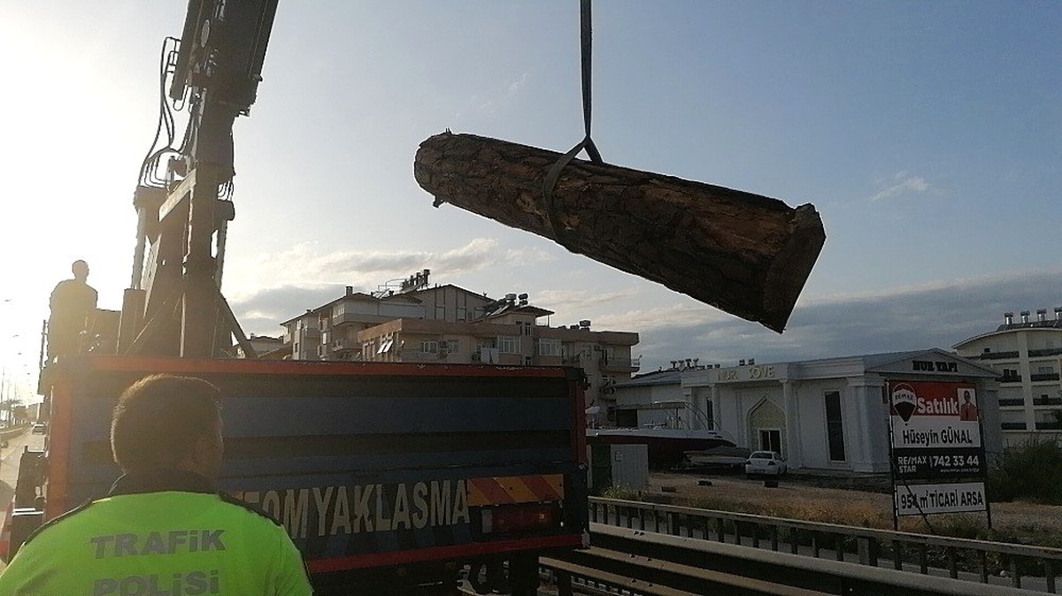 Yola dökülen tomruklar kazaya neden oldu