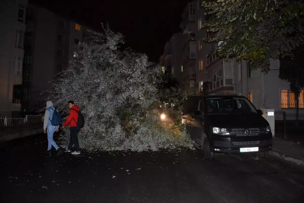 Çürüyen ağacın yola devrilmesi güvenlik kamerasında