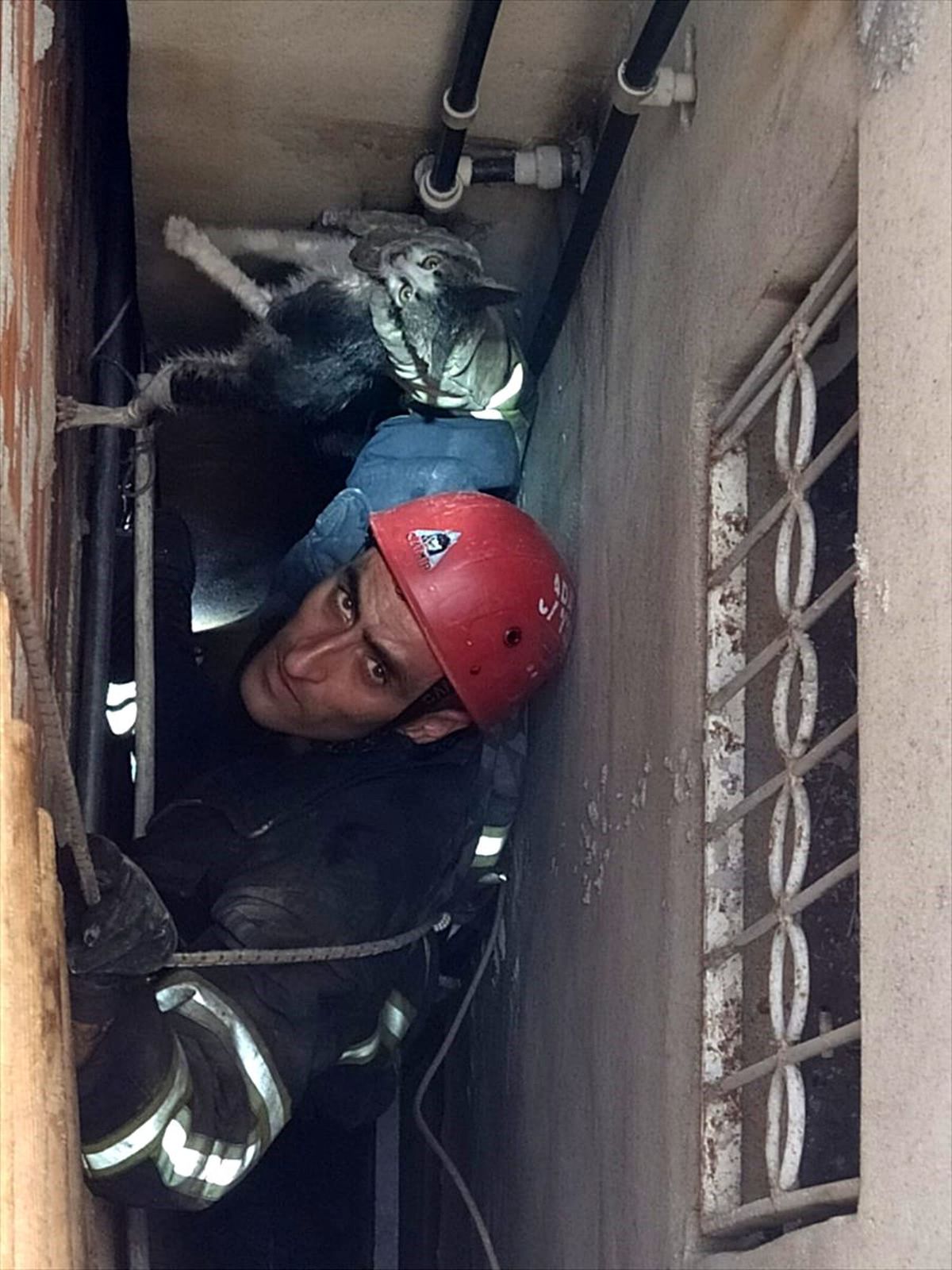 Havalandırma boşluğuna düşen kediyi itfaiye kurtardı