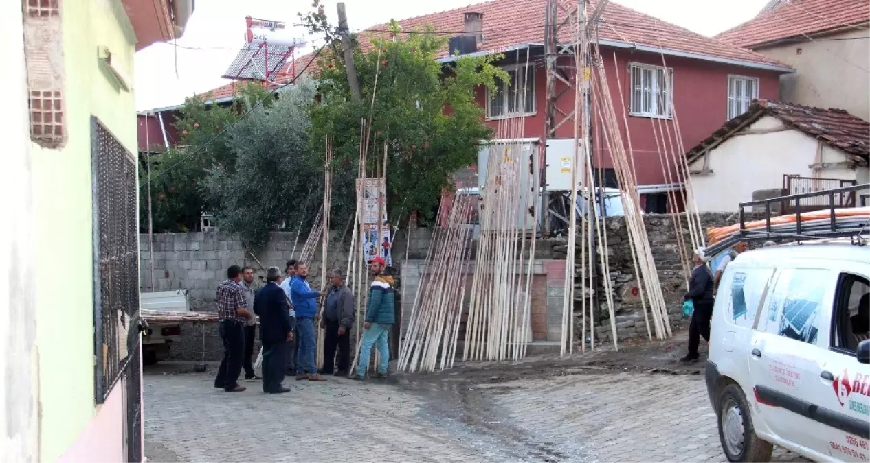 Kestanede hasat sezonu yaklaştı, sırık pazarı canlandı