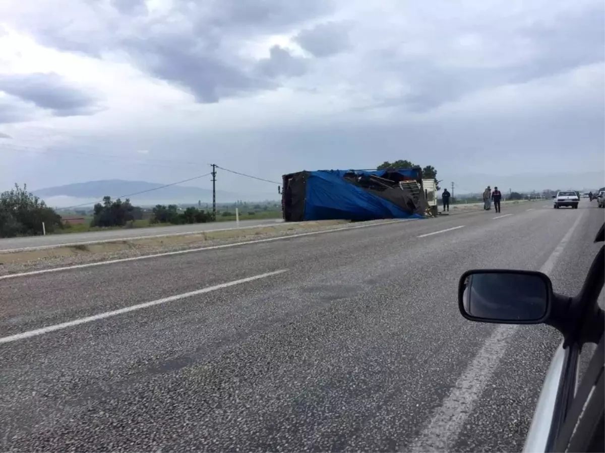 Manisa\'da üzüm yüklü kamyon devrildi: 1 yaralı