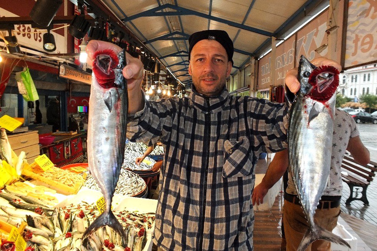 Marmara\'nın ilk palamutları tezgahlardaki yerini aldı