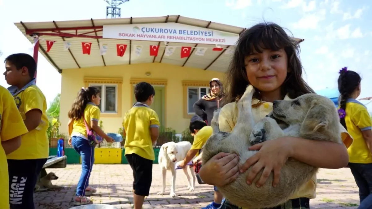 Öğrencilerle patilerin buluşması