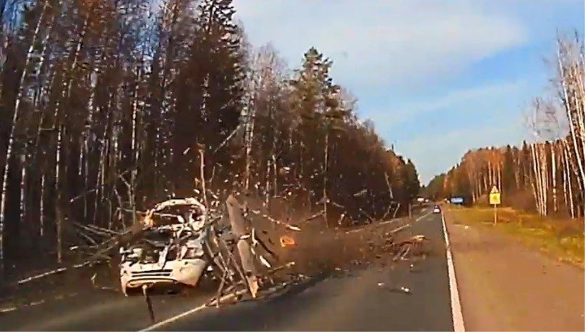 Rusya\'da devrilen ağaç otomobili parçaladı
