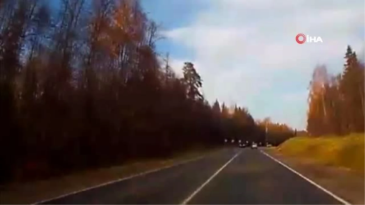 Rusya\'da Devrilen Ağaç Otomobili Parçaladı